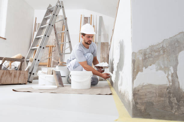 Best Emergency Mold Remediation  in Lead, SD